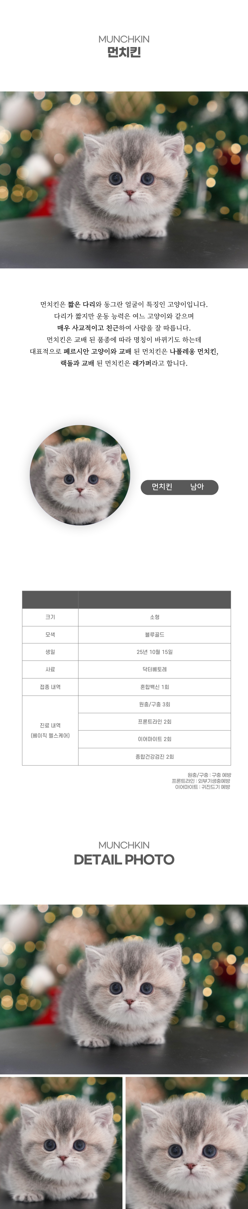 먼치킨_상세이미지_2